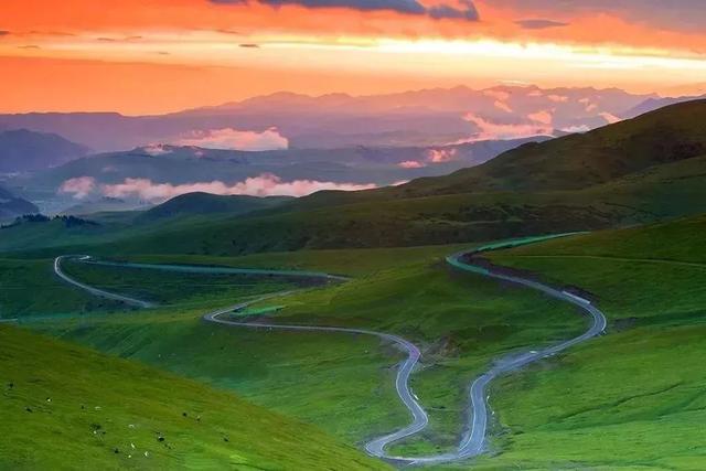 新疆王韶辉的最新动态及相关观点论述摘要