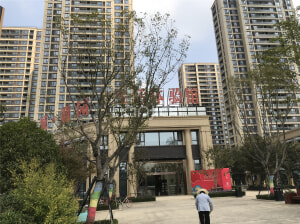 萧县绿城楼盘蜕变迎新生活，最新消息揭示自信与成就