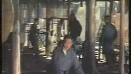 香港龙虎豹热门场所揭秘，最新地址与变迁魅力探秘