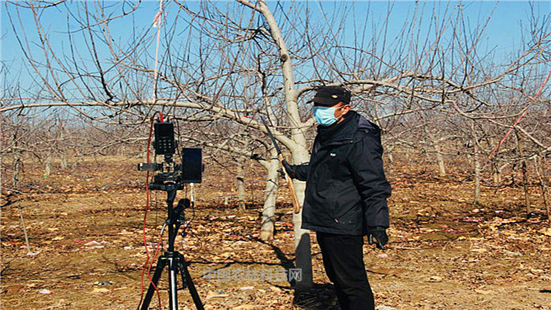 洛川最新疫情，科技之光助力防控工作