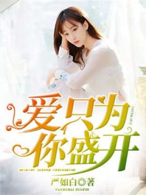 最新小说图片揭秘，高科技产品的震撼呈现