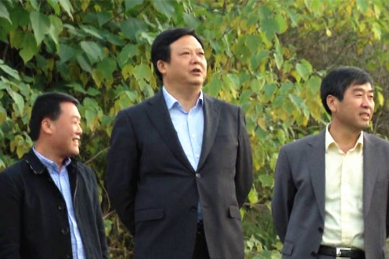 贾建武最新详细步骤指南,如何完成任务与学习新技能