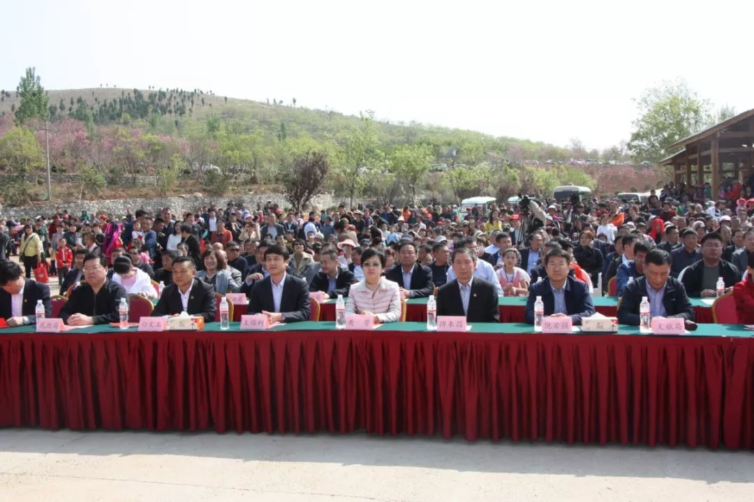 窦最新临朐动态或消息