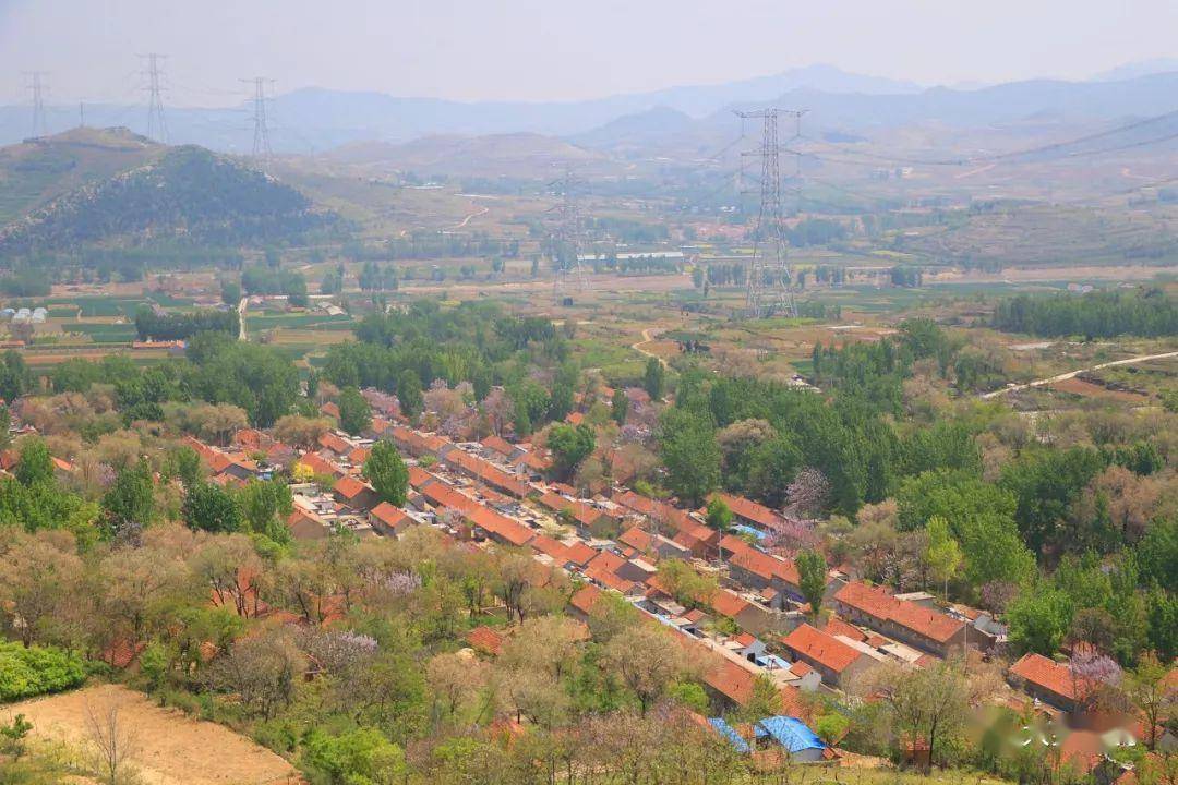 窦最新临朐动态或消息