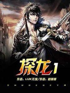 探龙最新动态,回溯历程,前瞻未来