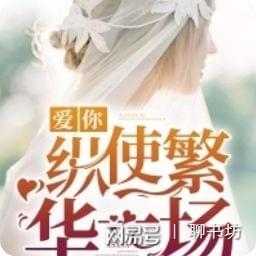 巷弄神秘小店中的最新故事篇章