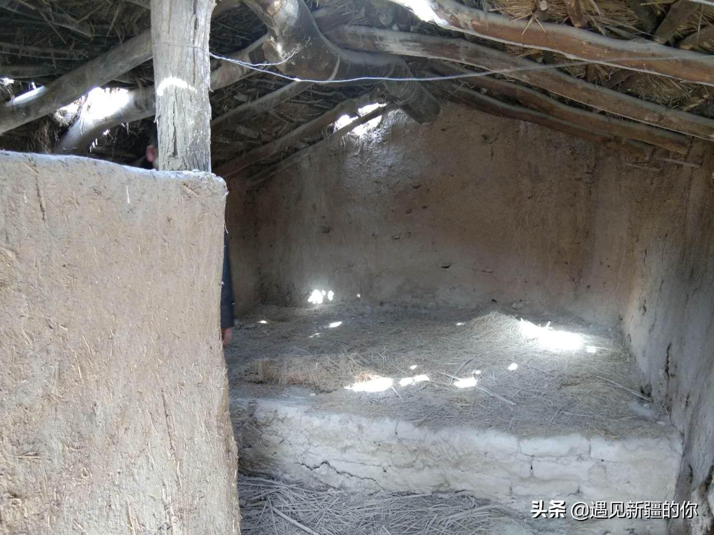 最新木头炕，小巷风情独特展现