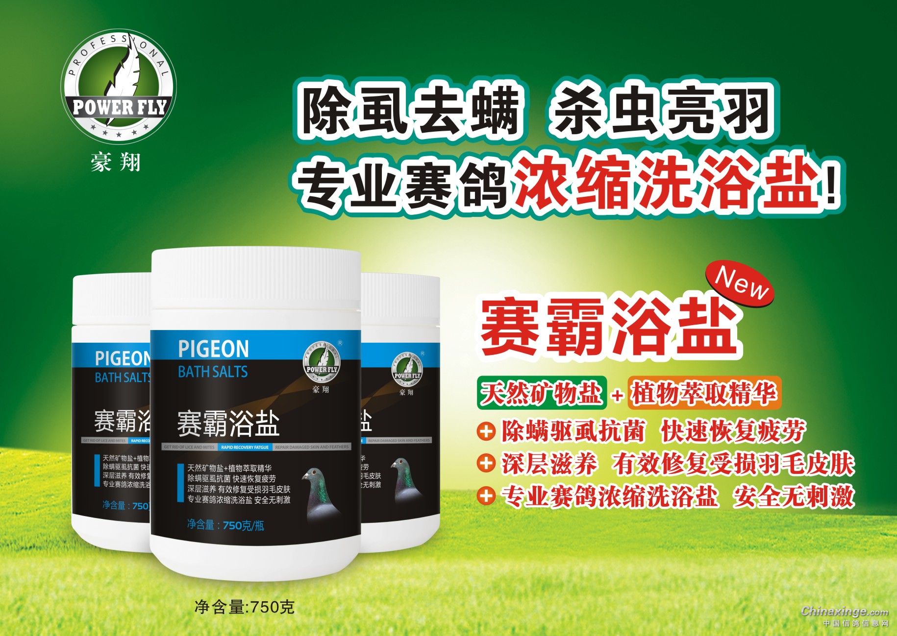 最新疲劳药，自然美景中的治愈之旅，重拾内心平和与活力