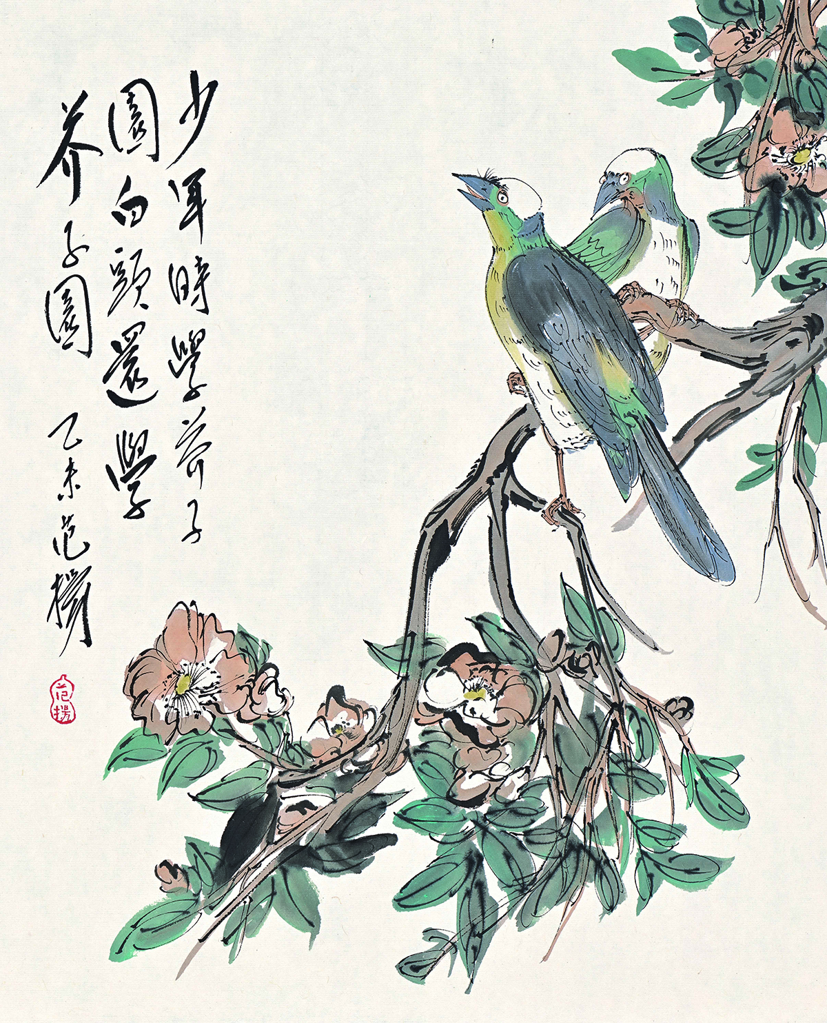 花鸟最新话，自然之美与人类情感的交织之美