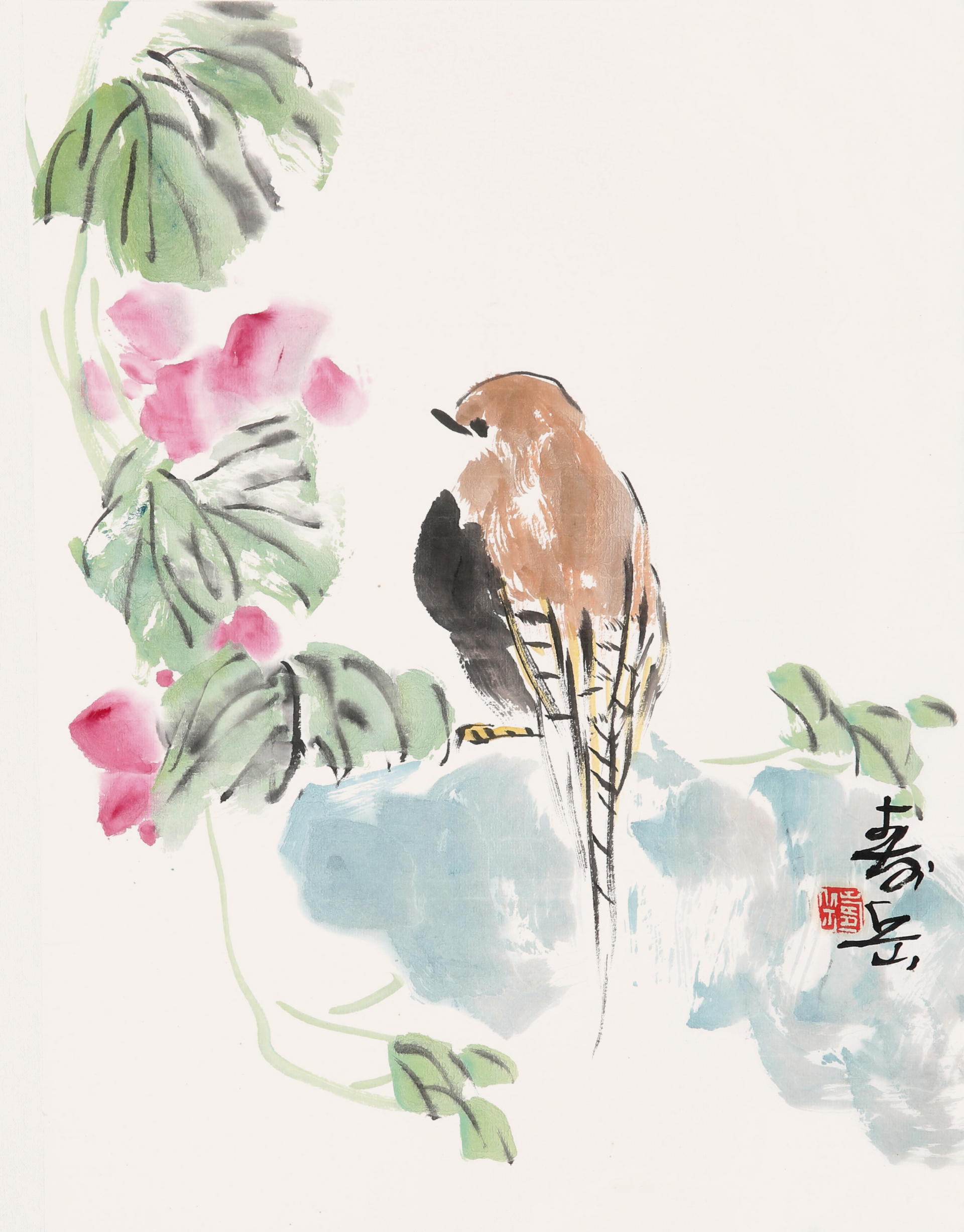 花鸟最新话,自然之美与人类情感的交织之美