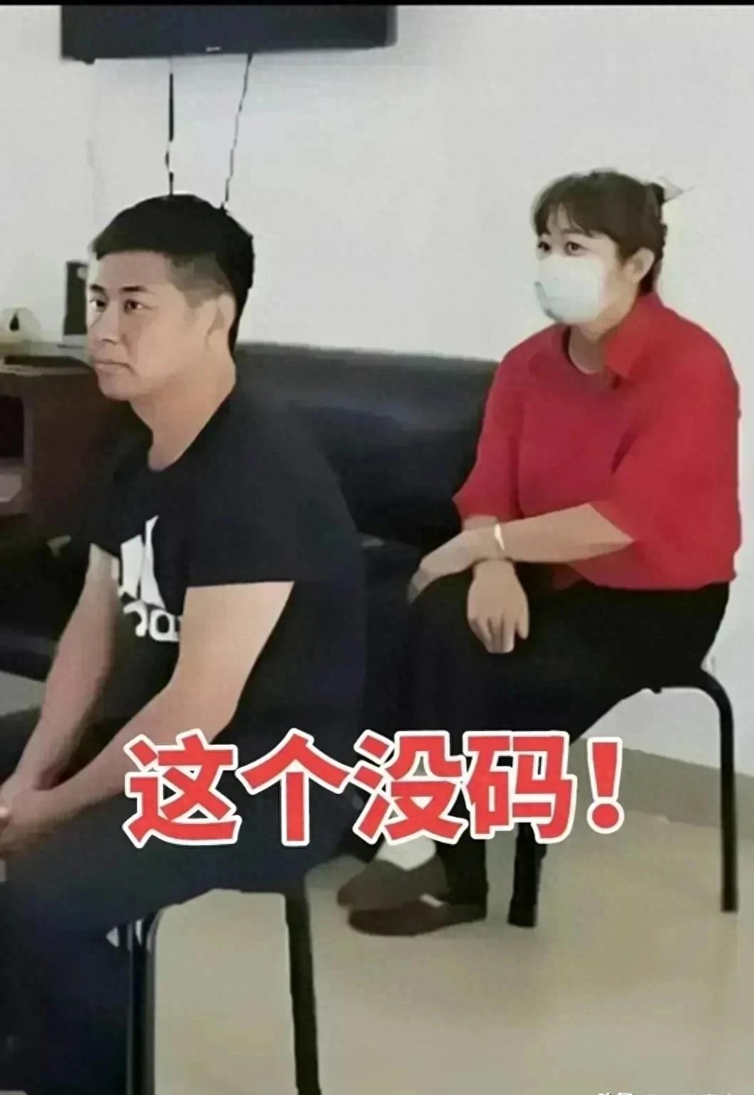 风流村官最新篇章，心灵与自然的奇妙旅程