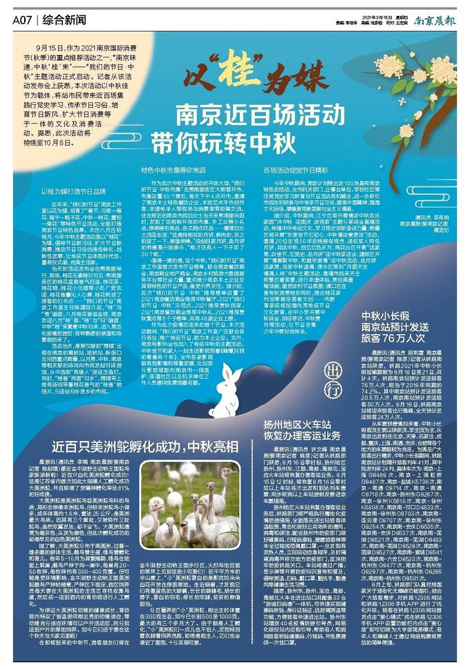 南京中秋特色探寻，小巷深处的独特小店，别样中秋韵味体验