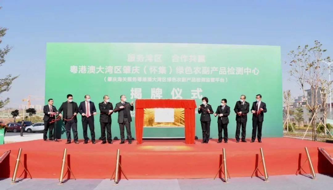 怀集疫情下的隐秘宝藏，小巷特色小店最新疫情资讯