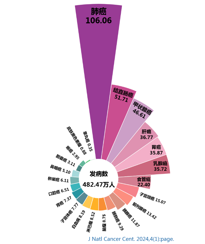 中国最新肺病，背景、影响及现状分析
