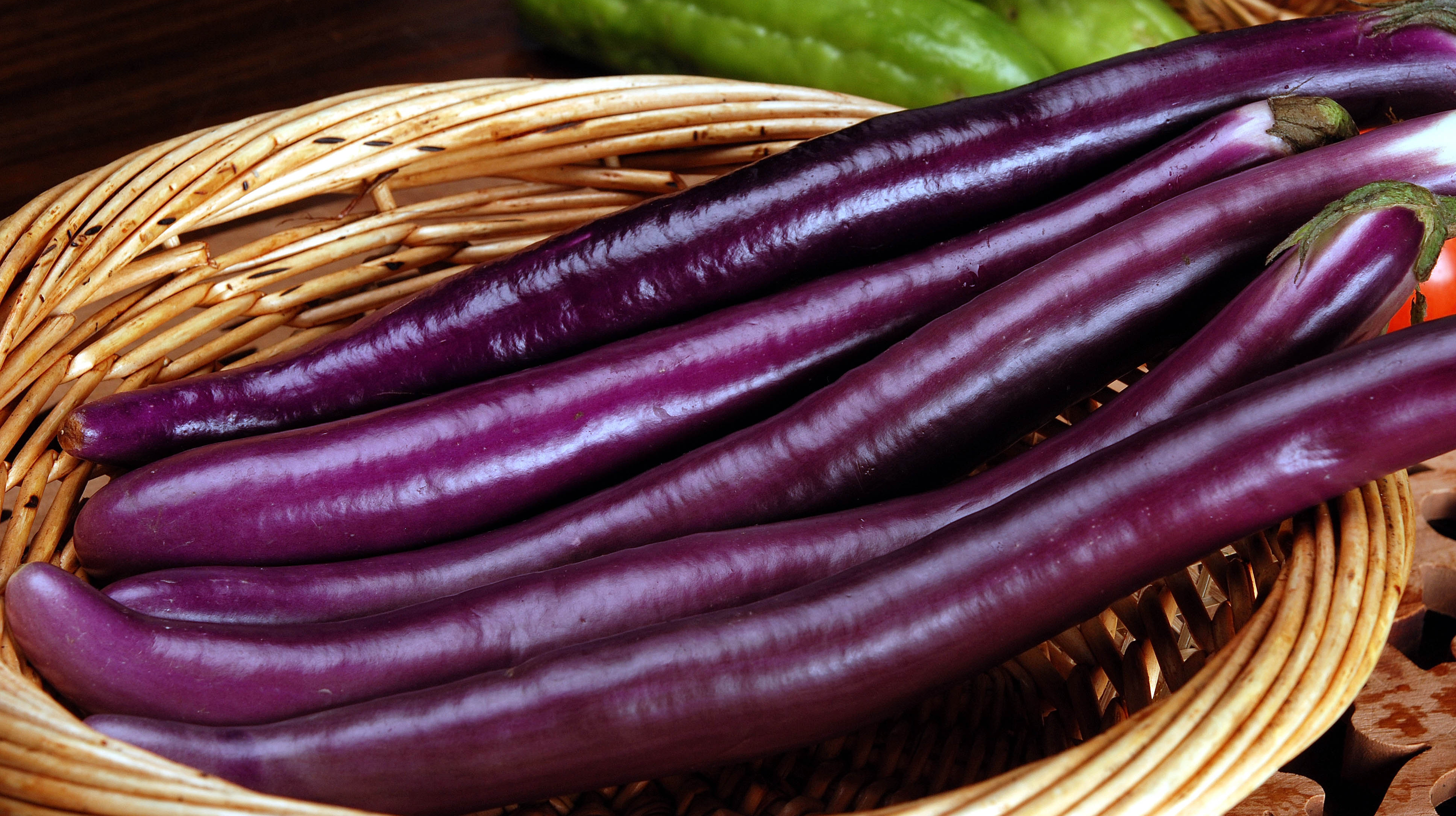 茄子最新在线，科技重塑生活，引领未来新潮流