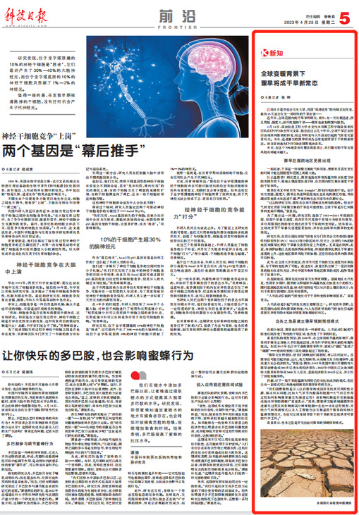 最新研究网，开启学习之旅，探索自信与成就感的魔法之门