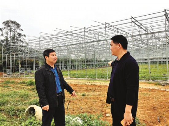 惠州最新常委团队的温馨日常风采展示