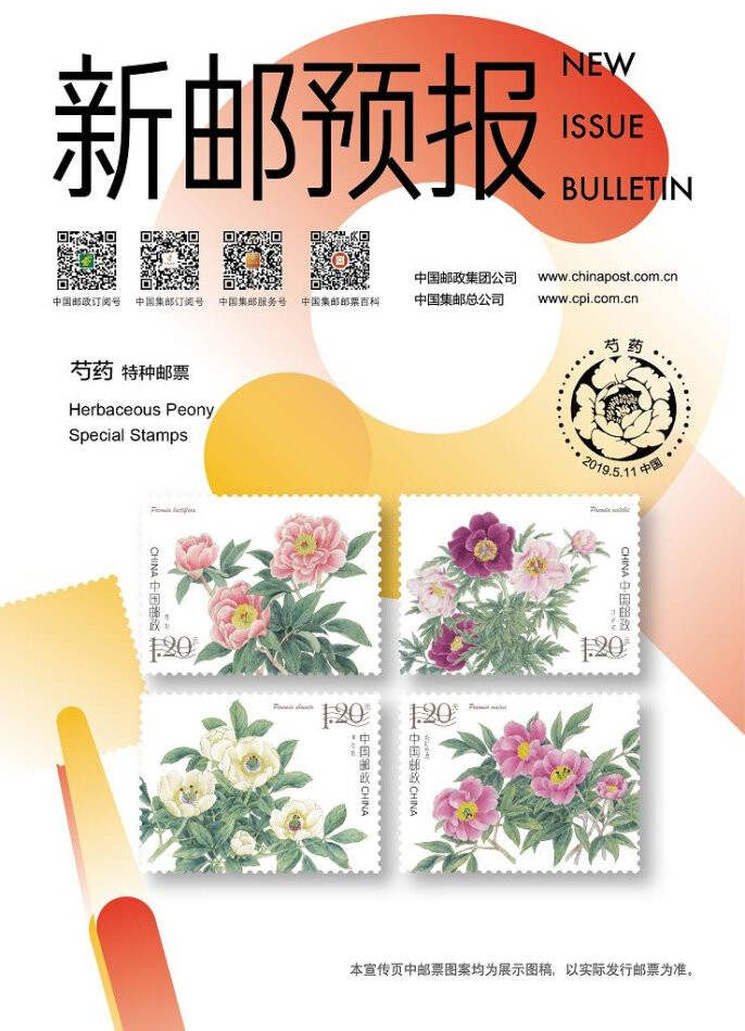 邮票市场繁荣变迁揭秘，最新动态概览