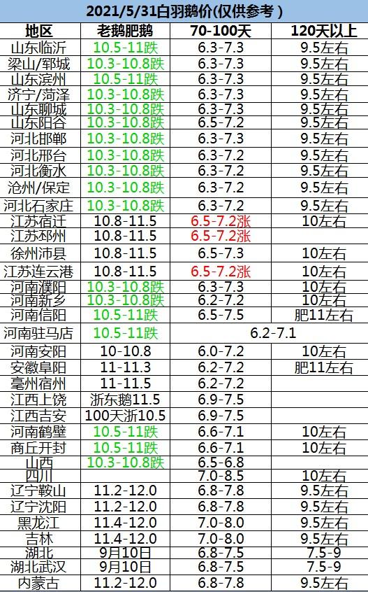 鹅群中的温情故事与最新报价更新