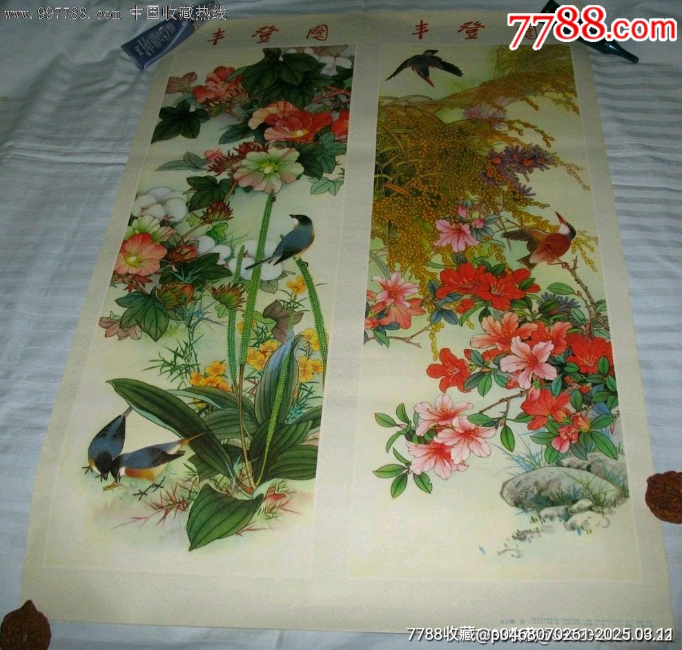 丰登最新图片,自然美景的探索之旅,寻找内心的平和与喜悦