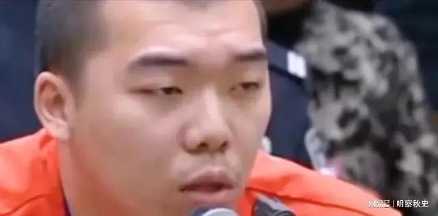 最新杀妻案件深度解析与观点阐述