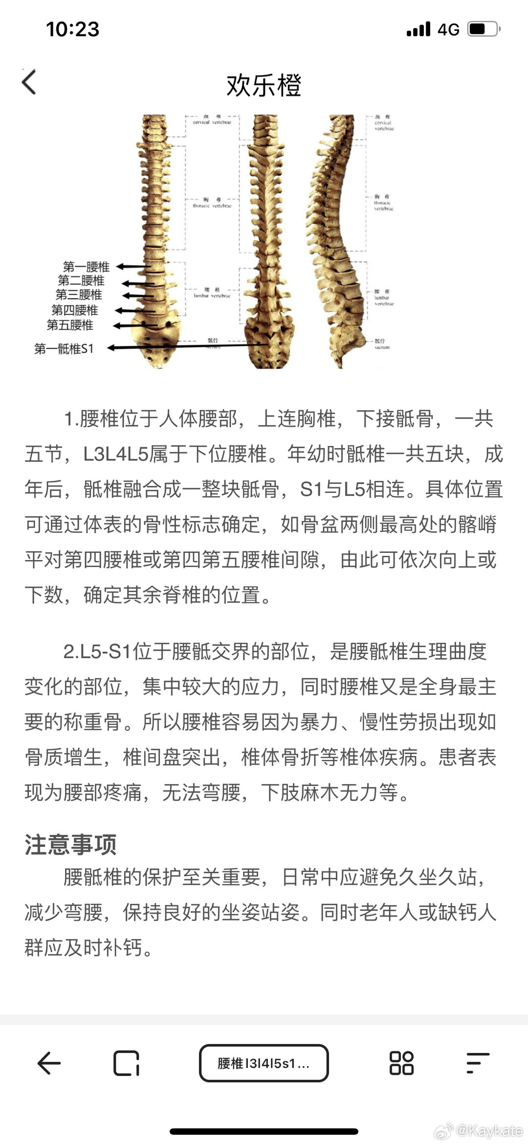 腰椎最新研究揭秘，背景、进展与影响探索之旅