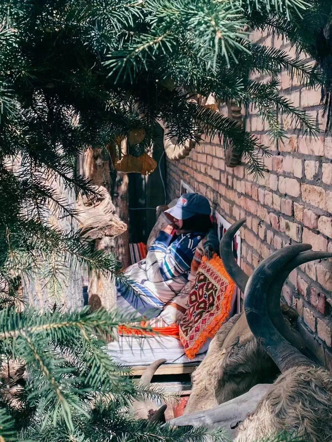 塔家最新动态揭秘，探索塔文化的最新进展