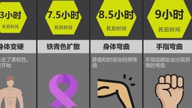 全球关注下的蚁疫情，科学应对的挑战与进展