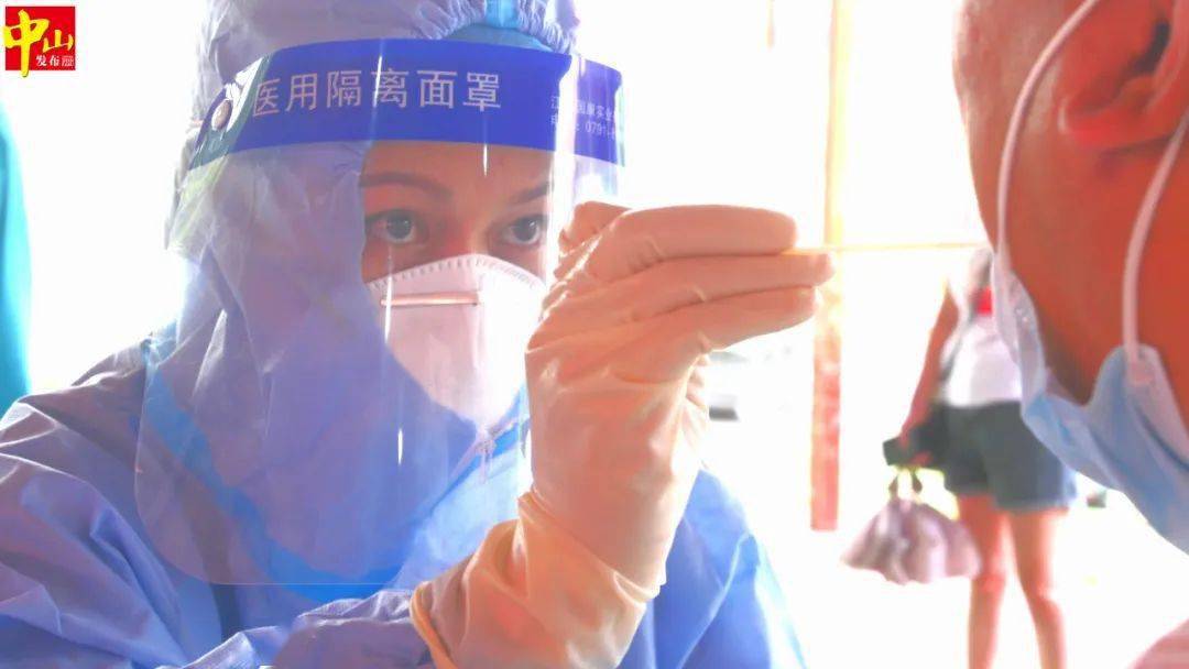 全球关注下的蚁疫情，科学应对的挑战与进展