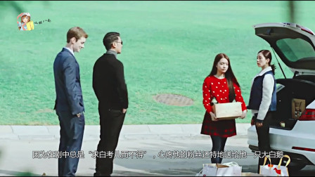 最新偶像电视剧展现科技魅力，重塑生活体验之旅