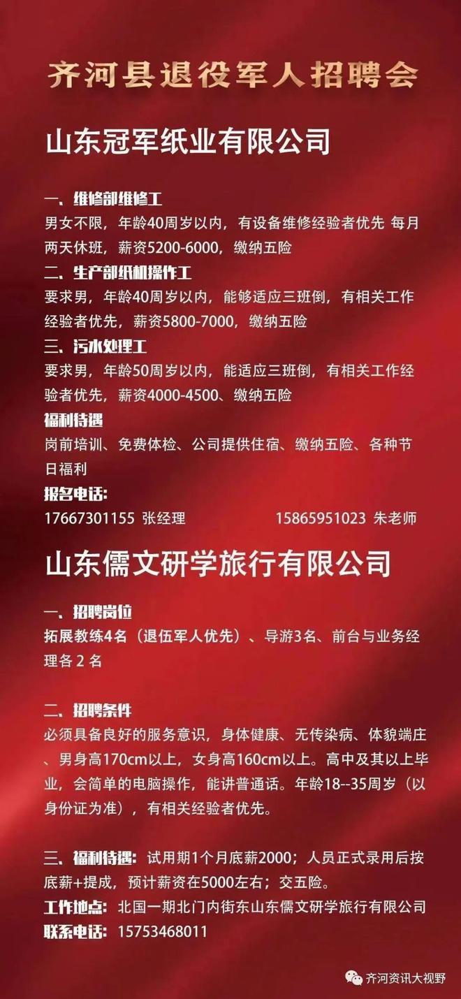 齐河招聘最新动态，时代脉搏与人才交响的交响乐章