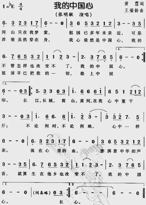 最新爱国歌曲，小巷中的音乐宝藏与爱国情怀的碰撞