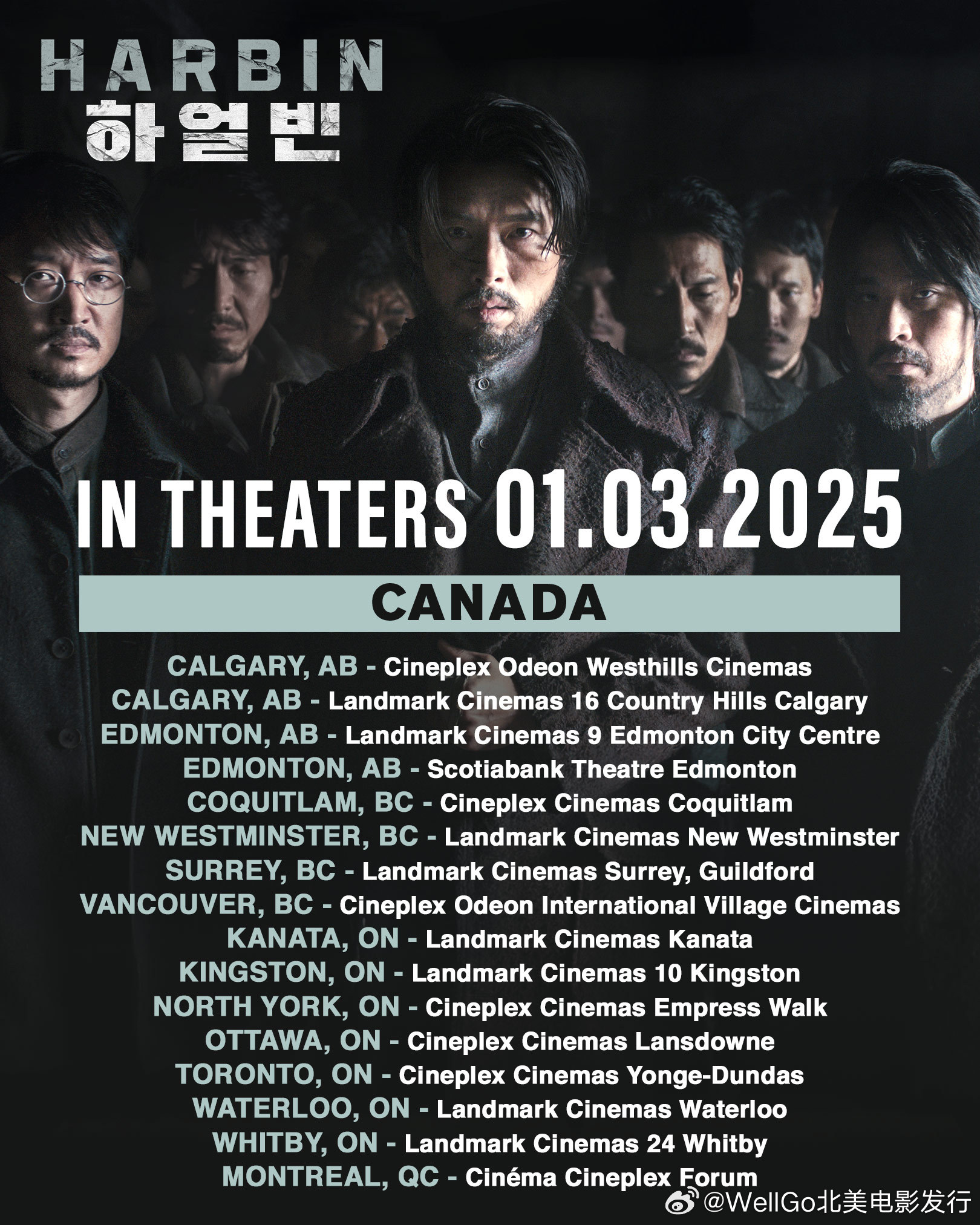 北美最新电影，观影指南与技能提升全面解析