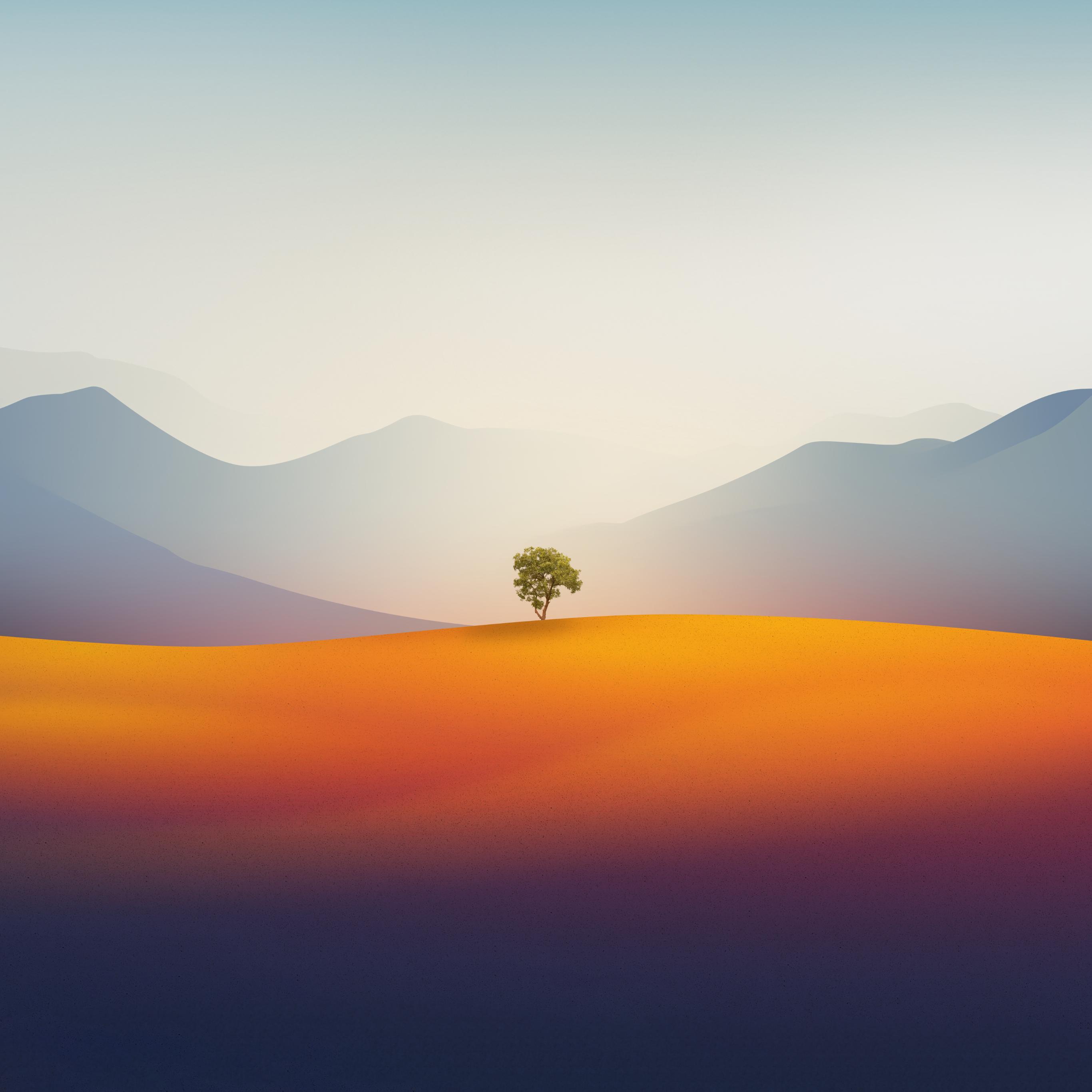 Mac OS 最新更新指南，如何轻松更新你的Mac系统