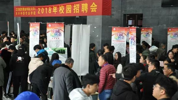 大丰招聘网最新招聘，职业发展的首选平台