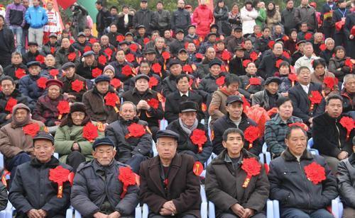 养老金调整最新动态,改革进展、受益群体展望及最新消息汇总