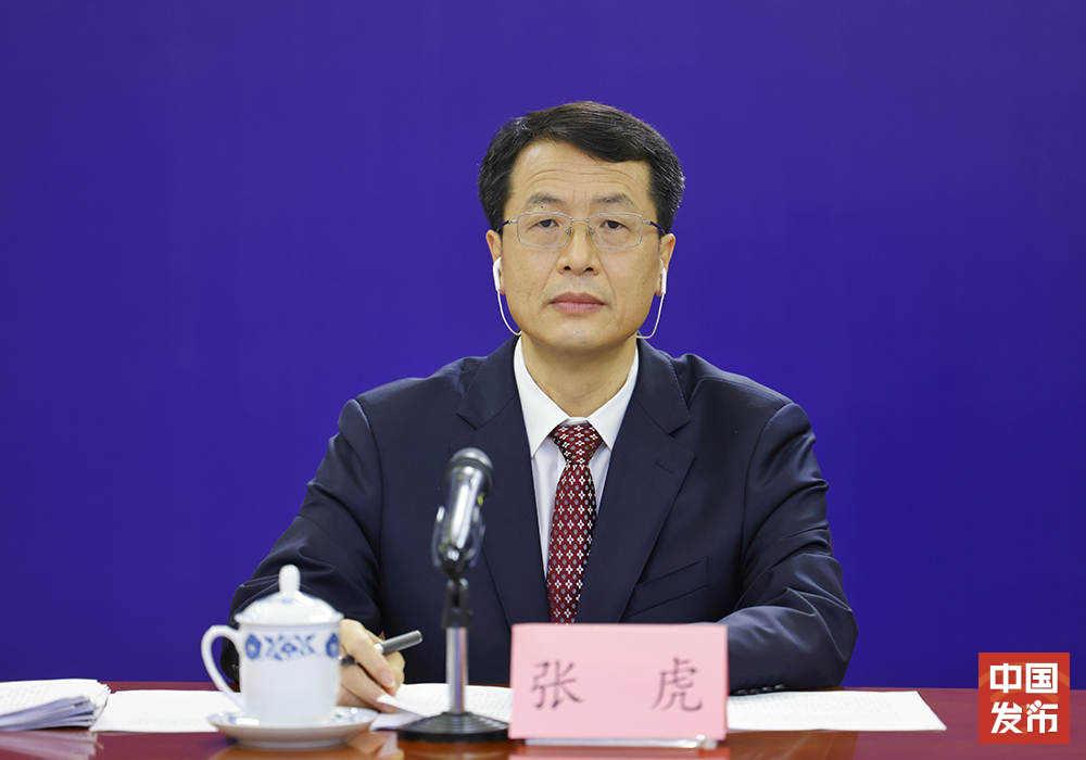 南沙最新动态，日常温情与陪伴