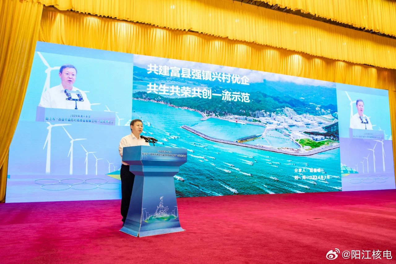 阳江城市动态更新，多方热议中的发展影响与最新资讯