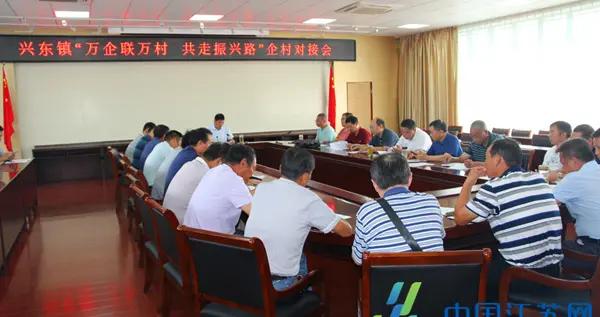 兴化最新新闻，多维度视角下的城市发展观点阐述