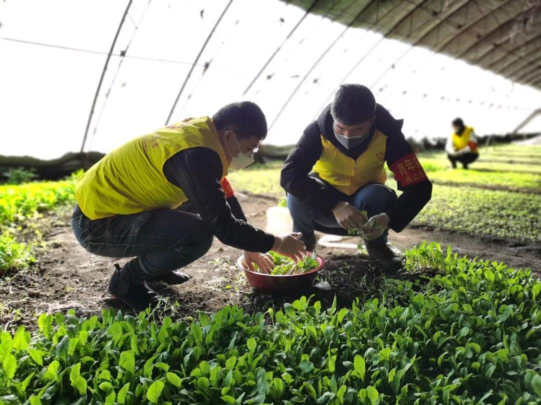七台河信息网最新动态，时代脉搏下的信息变革