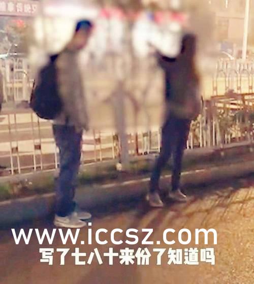 SSNI最新动态，探索要点、进展与未来展望