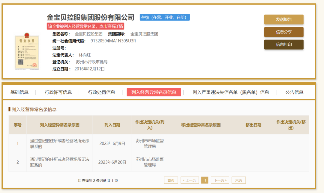 金宝宝控股最新动态揭秘，小巷中的潜在巨头探秘