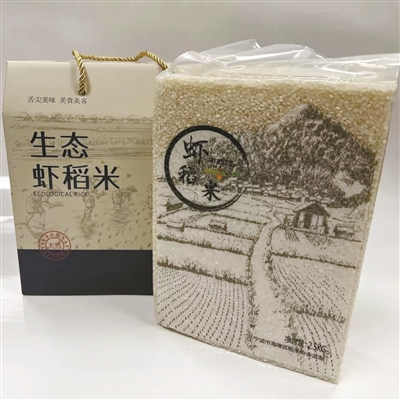 单龙钞100元最新价格及了解与获取指南