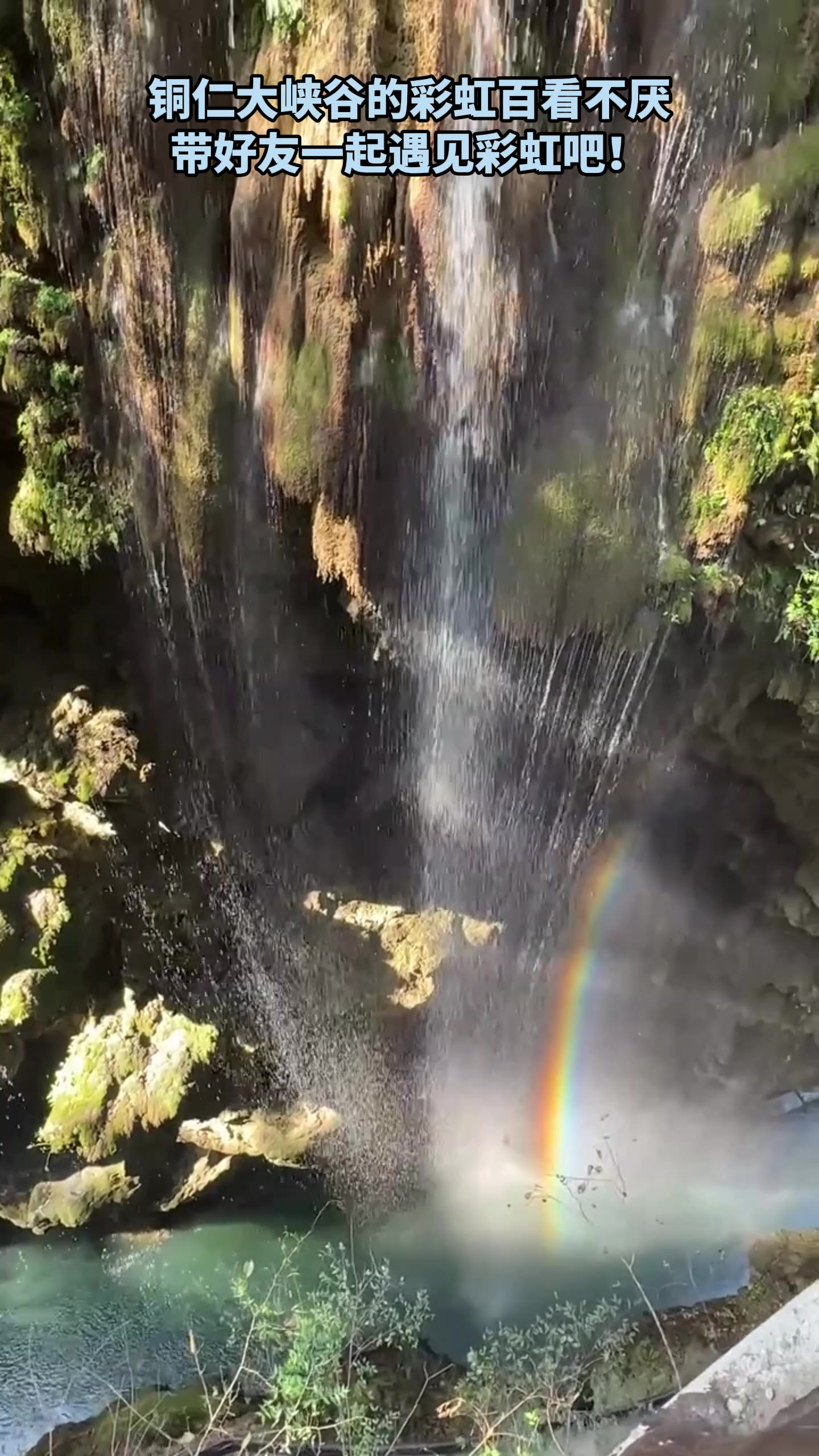 铜仁彩虹海最新动态揭秘，小巷特色小店的独特魅力与隐藏宝藏