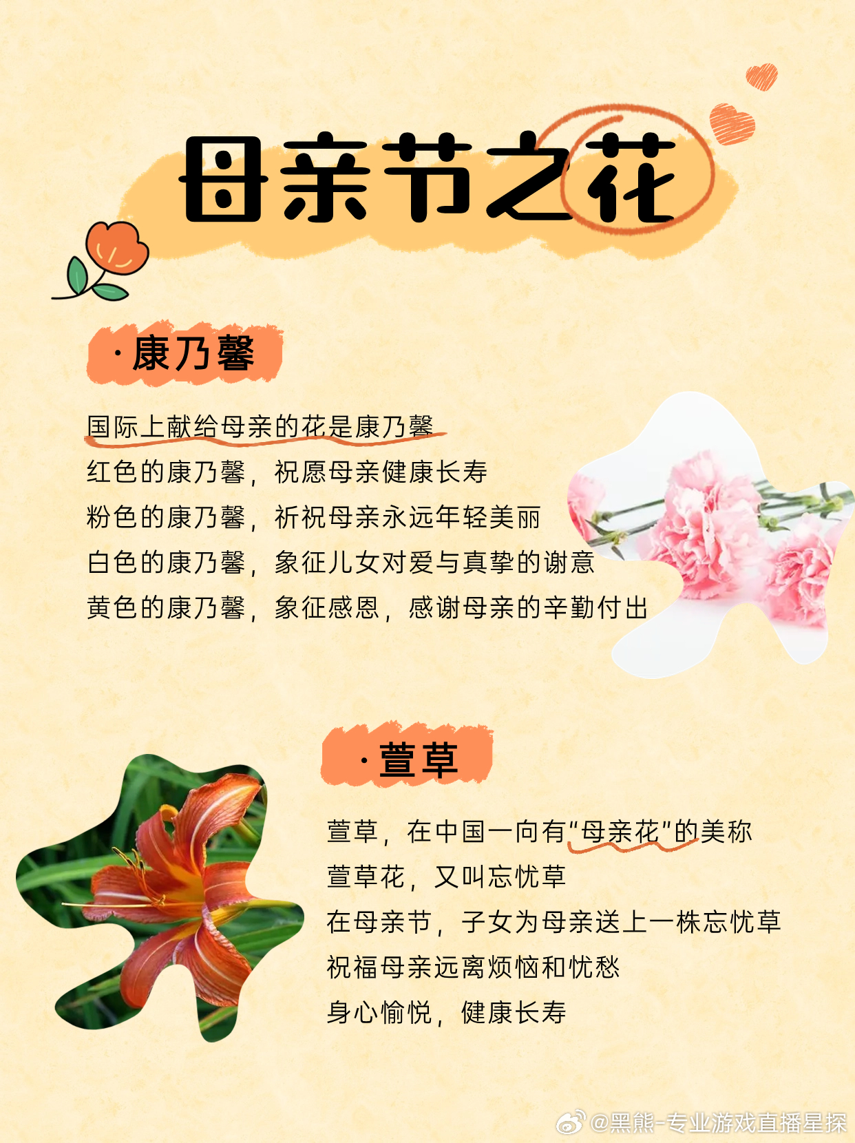 母亲节心灵之旅，自然美景下的感恩篇章