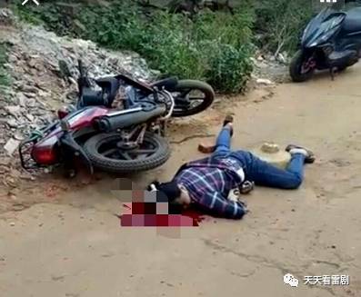 湛江雷州英利最新事件,力量变迁与自信成就之旅