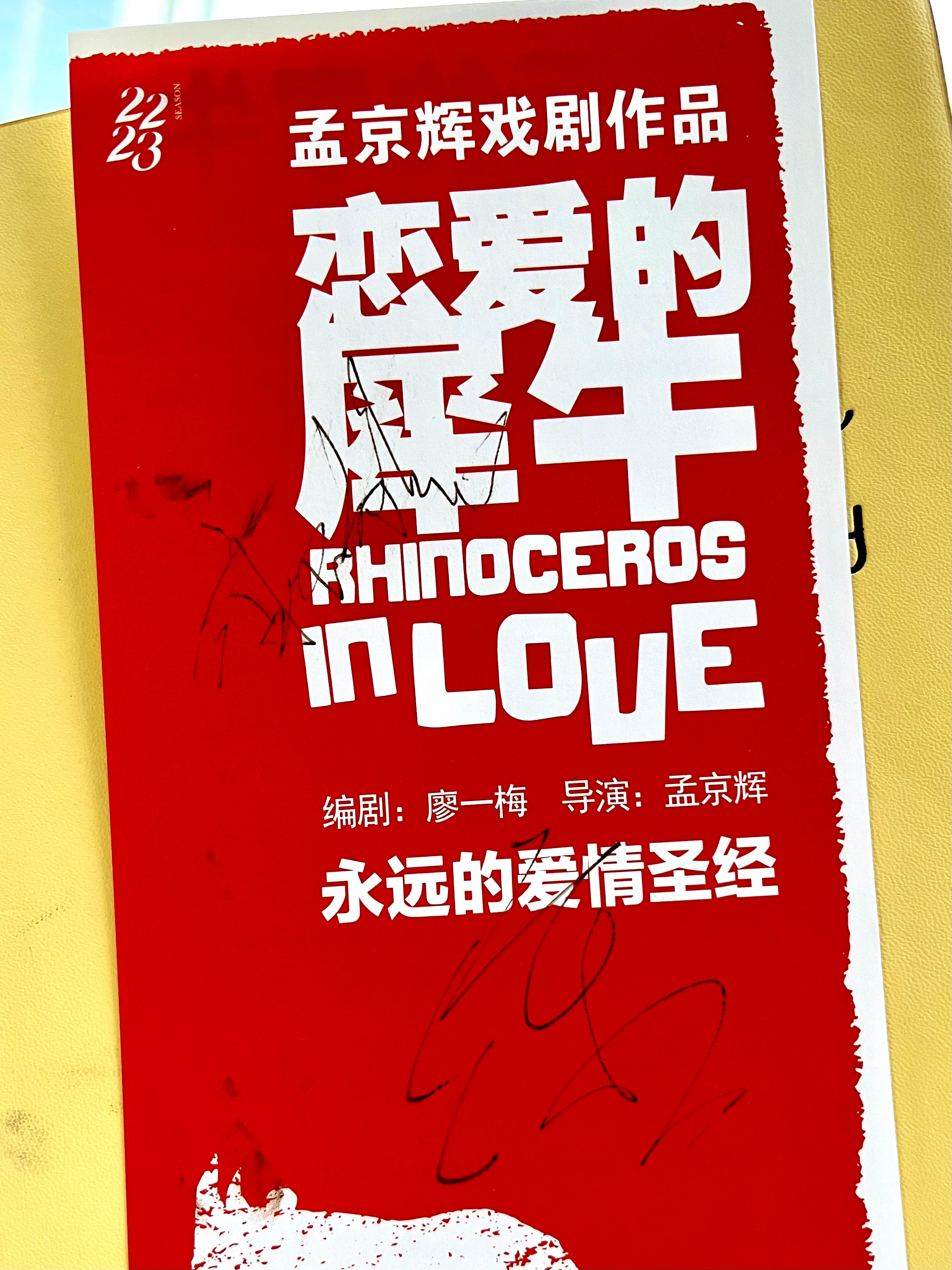 恋爱的犀牛最新演员表深度解析与观点阐述