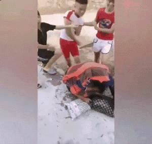 海南省最新消息及其观点论述概述