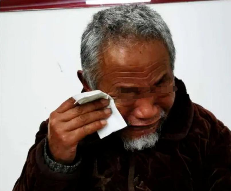 海南省最新消息及其观点论述概述