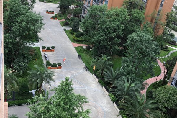 温江金强欧郡最新动态揭秘,探索自然美景之旅,寻找内心平和的旅程